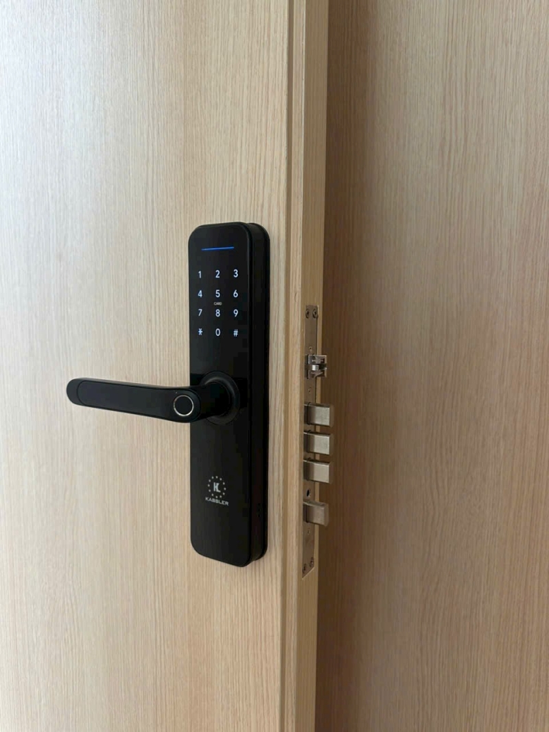 Khoá vân tay Kassler trên chất liệu cửa gỗ