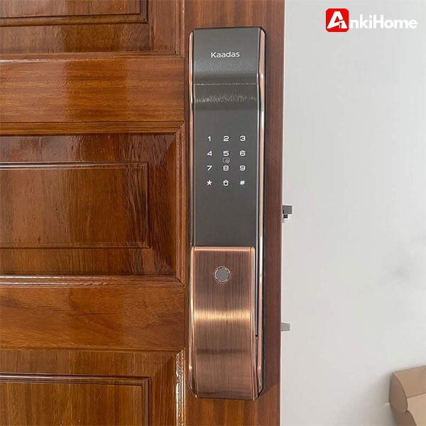 Khóa Cửa Tự Động Thông Minh Loại Nào Tốt? Top 6 Mẫu Hiện Đại